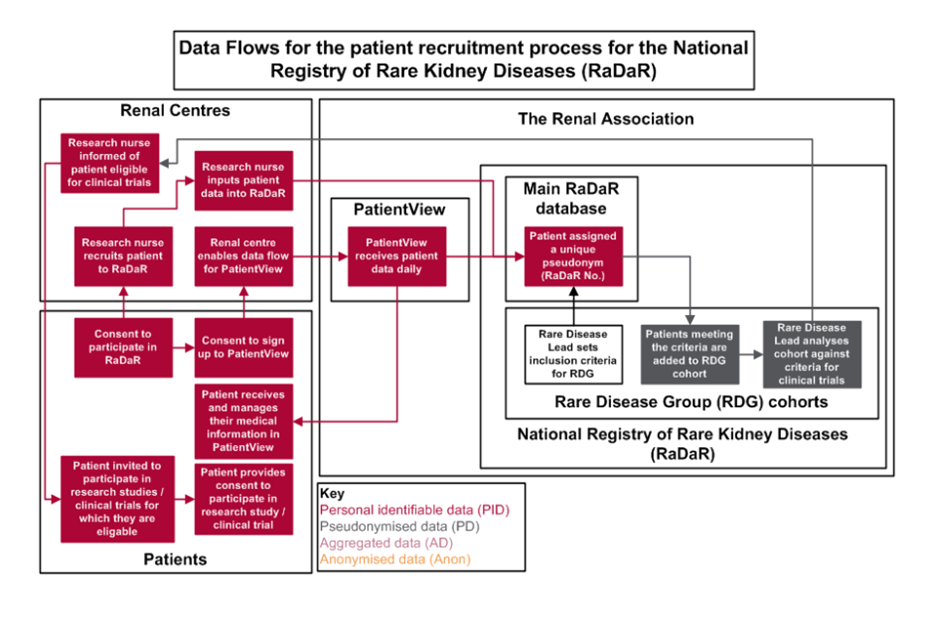 A flowchart showing the data flows for the patient recruitment process for Radar