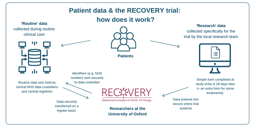 Explanatory flowchart of the Covid recovery trial